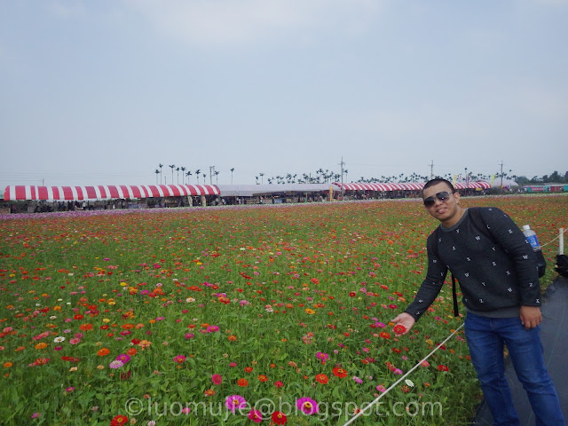 Xinshe Sea of Flowers