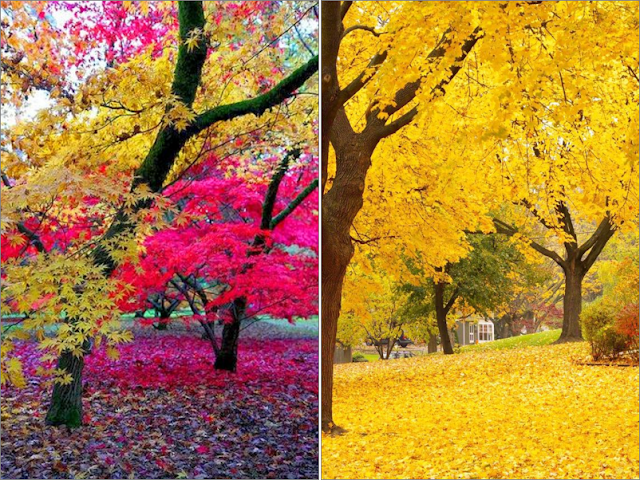 These 100+ Beautiful Autumn Photos Will Inspire You To Grab Your Camera