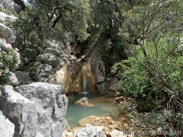 Barranco del Arroyo del Pajaruco