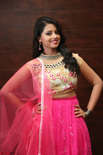 Geethanjali sizzles in Pink at Mixture Potlam Movie Audio Launch 032.JPG