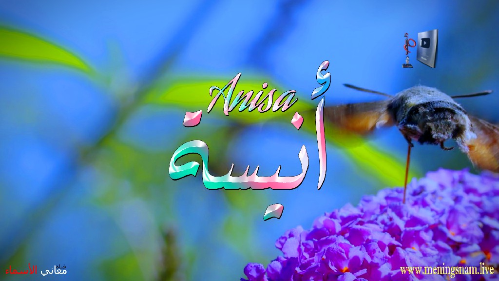 معنى اسم, انيسة, وصفات, حاملة, هذا الاسم, Anisa,