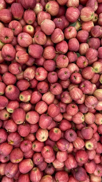 Apples, Red, Fruits, Food, Harvest