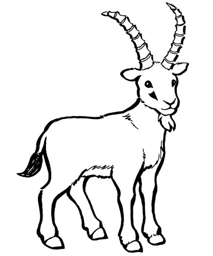 Goats Coloring Pages