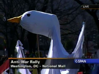 Giant Duck of Peace