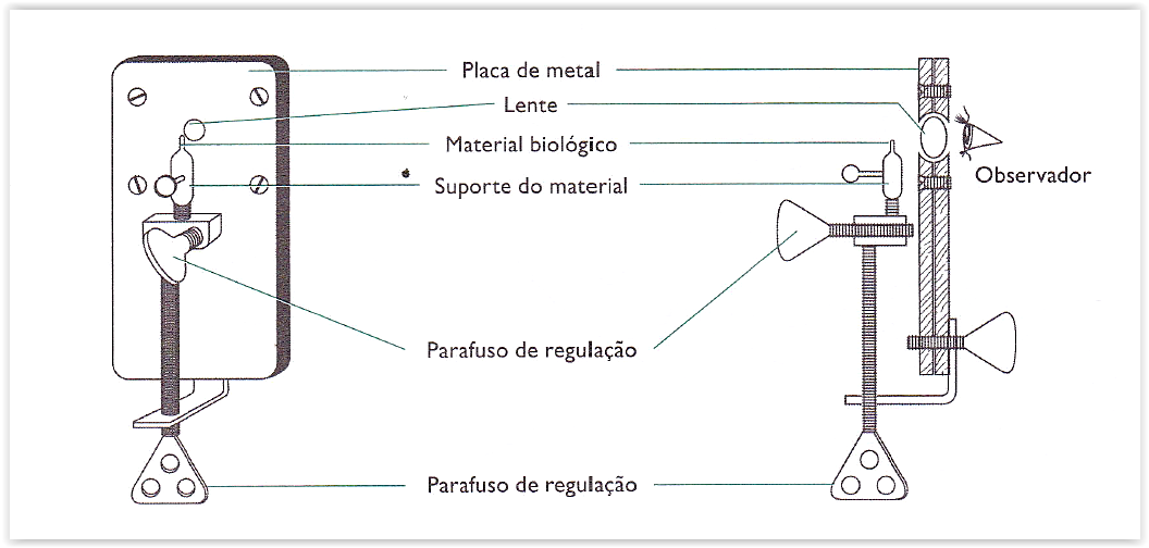 Microscópio de Leeuwenhoek