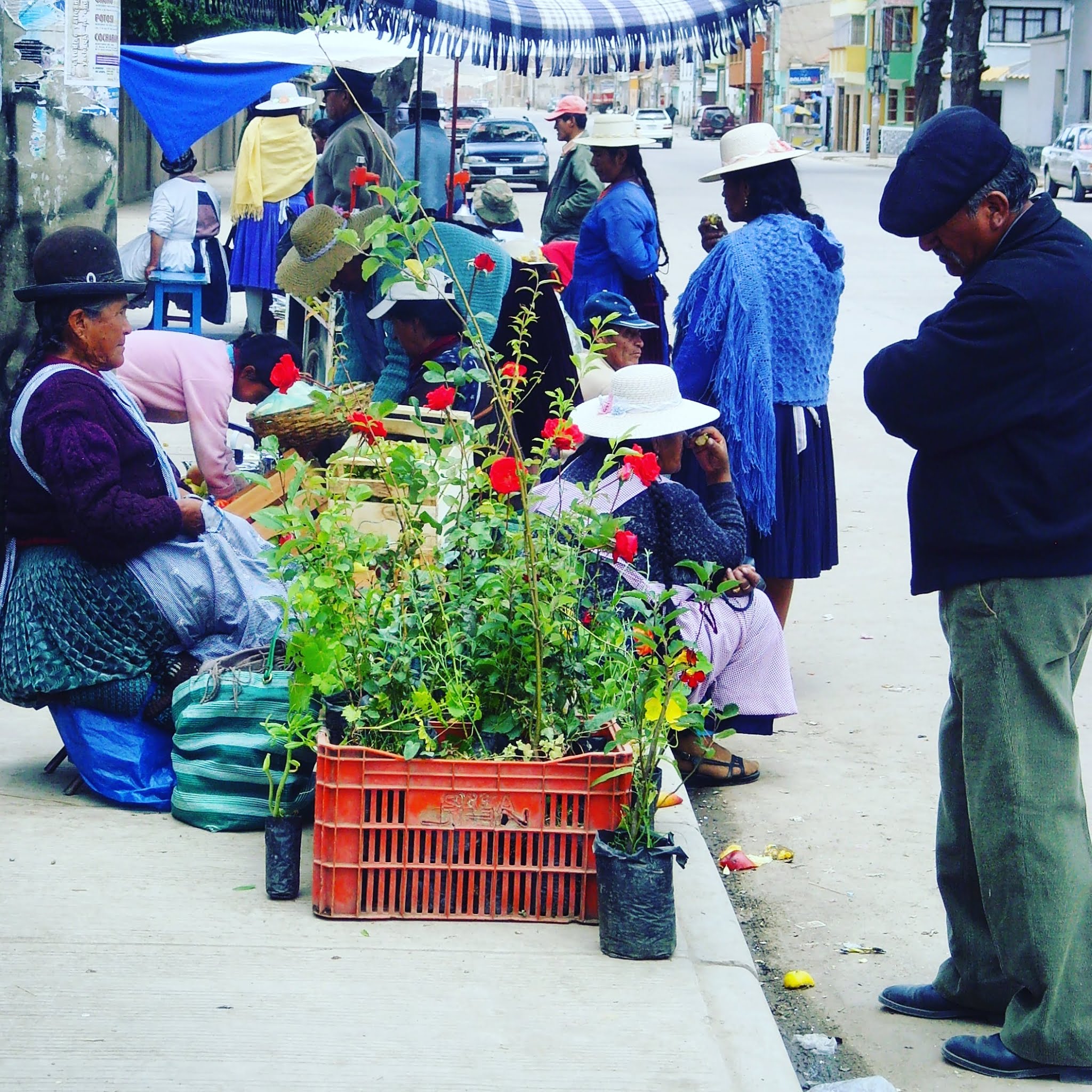 A woman dressed in typical bolivian dress in the city of Potosi. She's sitting in front of potted plants which she is selling