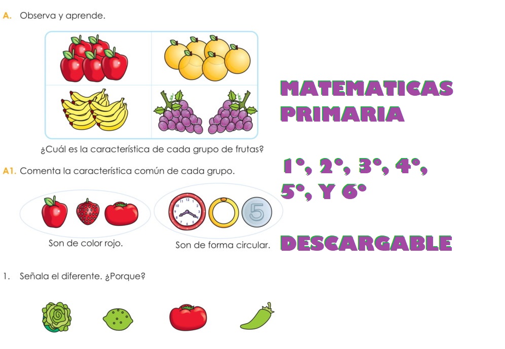 material para matematica primaria