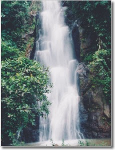 Sikopel Waterfall, Pitu Waterfall Banjarnegara