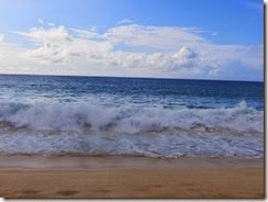 north shore 29