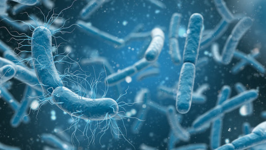 Nova classe de antibióticos ativos contra uma ampla gama de bactérias