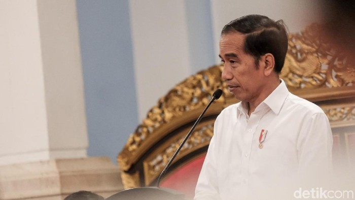 Cegah Banjir, Jokowi Minta Anies Lanjutkan Normalisasi-Naturalisasi Sungai