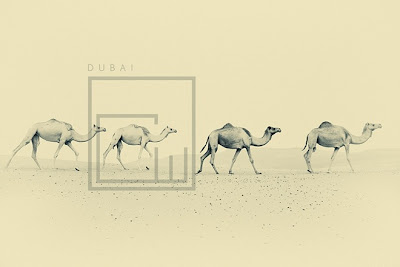 The Classic Beauty Of Dubai