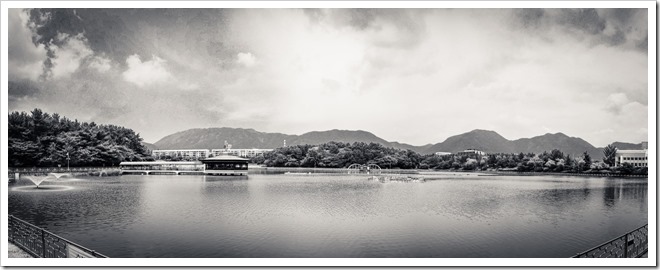 DSC_8572_stitch-3