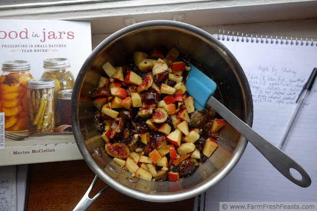 image of ingredients used to make Apple Fig Chutney