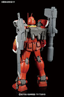 Bandai MG 1/100 Gundam Amazing Red Warrior English Manual & Color Guide