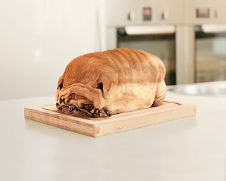 Bread Dog Funny Wallpaper 1280x1024