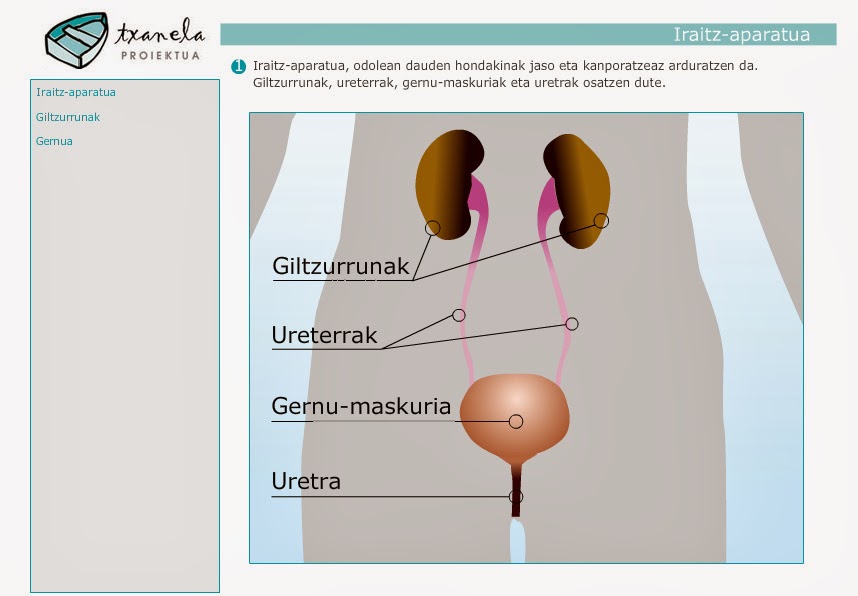 http://www.txanela.net/guneak/0007/e/0345/0421/f/999/IraitzAparatua_nagusia.swf