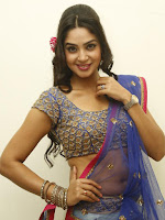 Angana Roy at Srimanthudu Audio Launch