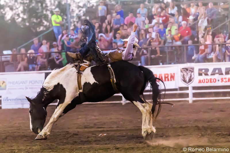 Molalla Buckeroo PRCA Rodeo Bareback Bronc Things to Do In Oregon City and Mt. Hood Territory