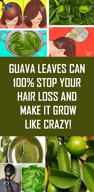 How to Use Guava Leaves to Stop Hair Loss