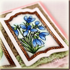 Botanical-Bookplate_1-4_edi