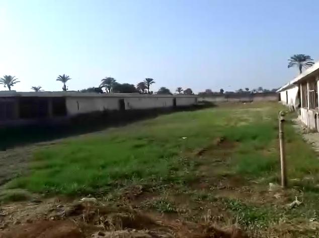 Chicken Farm for sale مزرعة دواجن للبيع, مزرعة للبيع