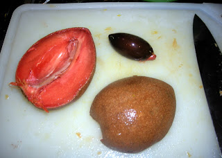 sapote, zapote, mamey, Pouteria sapota