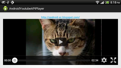 Simple example using YouTube Android Player API