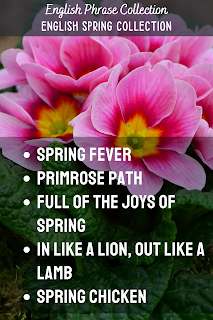 English Phrase Collection | English Spring Collection | Spring fever, Primrose path, Full of the joys of spring, In like a lion out like a lamb, Spring chicken