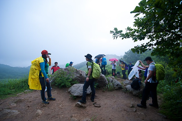 명성산 억새군락