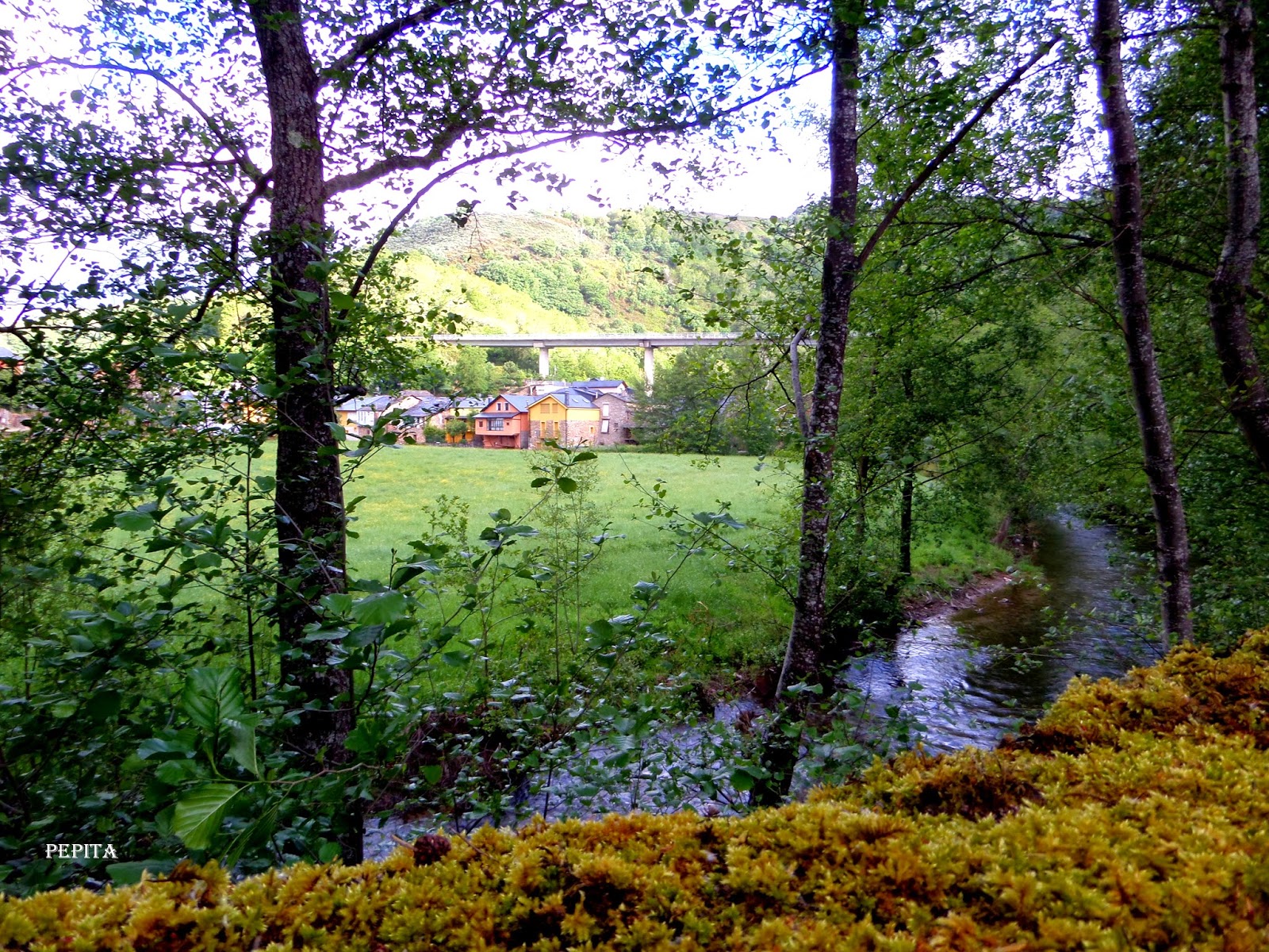 Abamestas,León. Camino Santiago