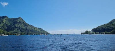 Belvédère d'Opunohu