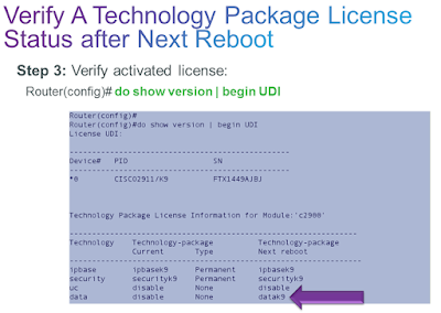 Cisco Verify A Technology Package License Status after Next Reboot 