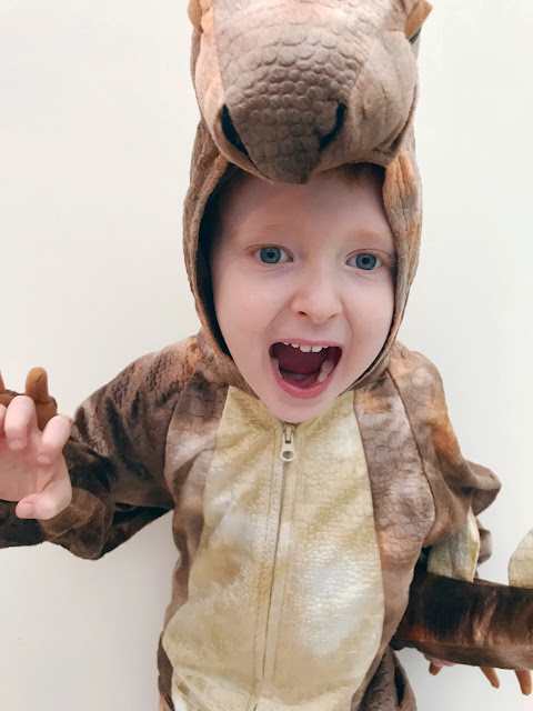 Little boy dressed up as a dinosaur