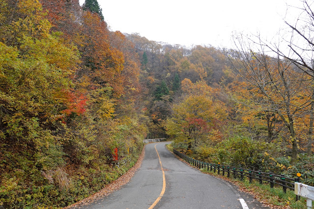 鳥取県道45号倉吉江府溝口線（大山環状道路）