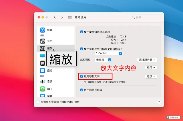 【MAC 幹大事】一秒放大螢幕，畫面內容不怕看嘸 - 「啟用移動文字」對不方便閱讀小字的人很有幫助