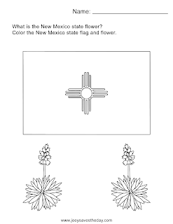 New Mexico worksheet 2