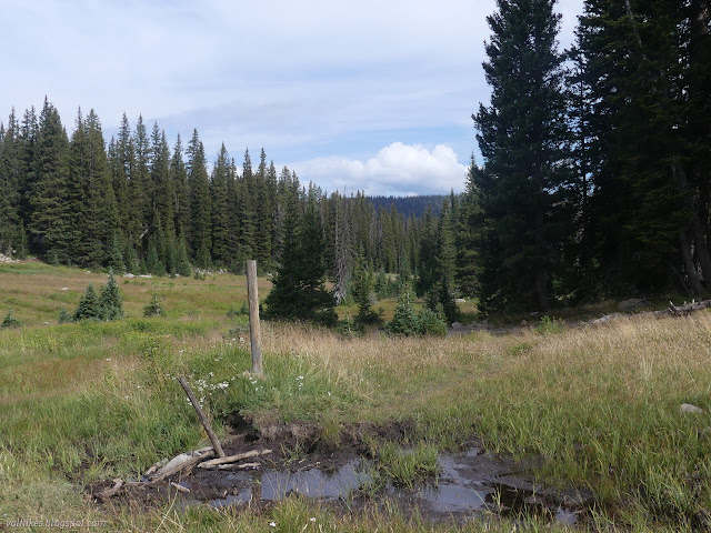 013: muddy spot in the trail