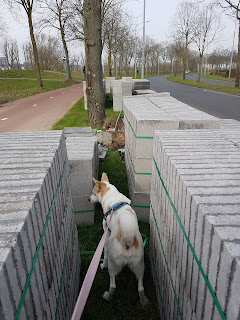 nieuwbouw huren en kopen