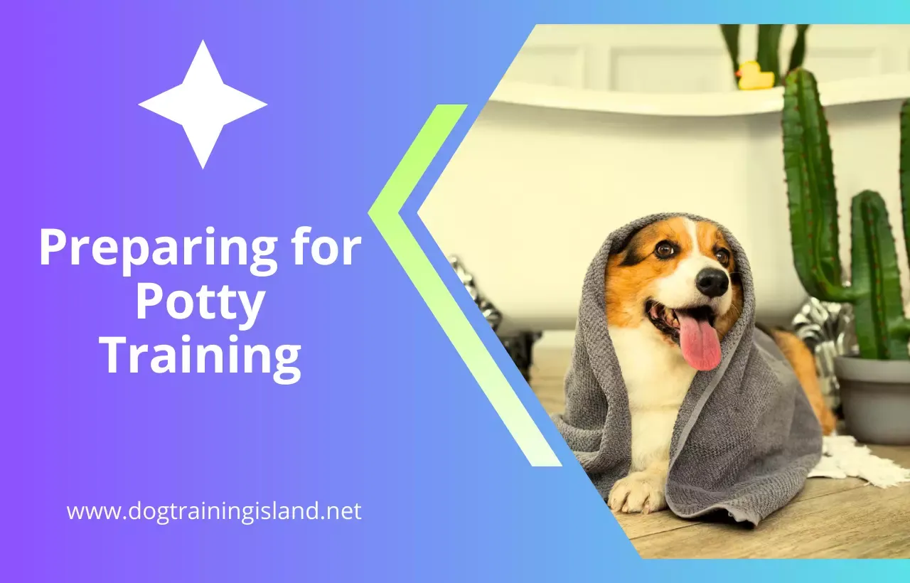 How to toilet train a puppy in 7 days