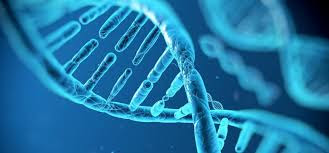 What Is Genetic Engineering