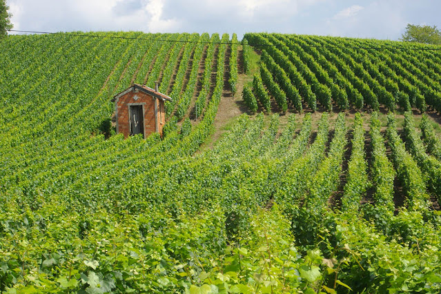 Champagne Hillsides UNESCO World Heritage Sites in France