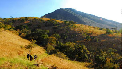 Taman Nasional Alas Purwo Banyuwangi