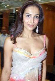 Malaika Arora Indian Actress Hot wallpapers,indian actress hot wallpapers