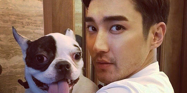Anjing Gigit Jiran Sampai Mati, Siwon Super Junior Mohon Maaf