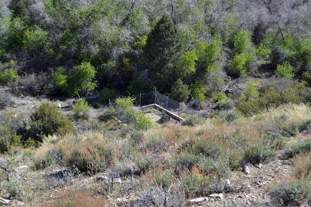 small family cemetery