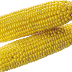 Mısır png indir , corn png image