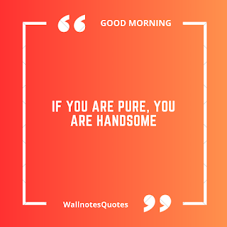 Good Morning Quotes, Wishes, Saying - wallnotesquotes - If you are pure, you are handsome.