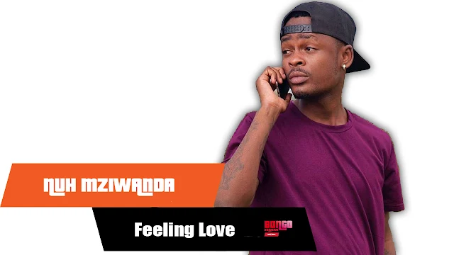 Nuh Mziwanda - Feeling Love | MP3 Download