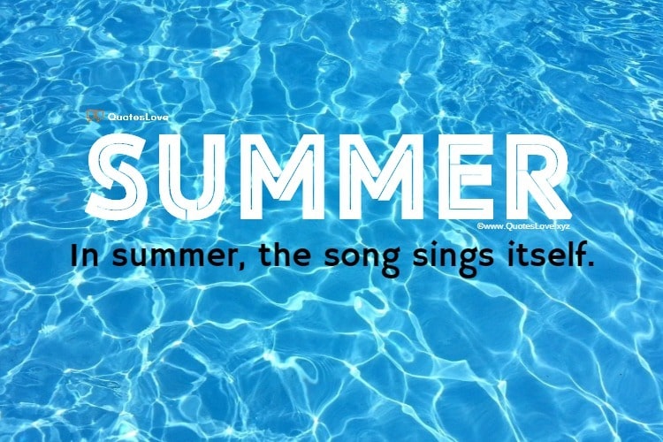 Summer Quotes & Summertime Quotes [Funny, Short] To Share On Social Media Profiles In Summer Season